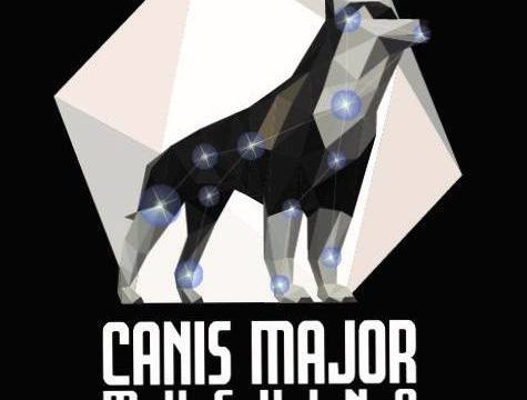 Canis Major Mushing